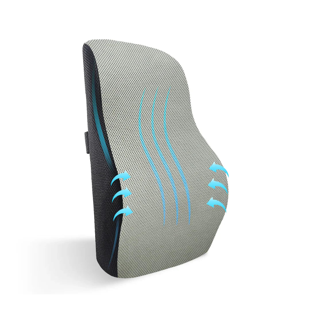 Lumbar Support Pillow & Cushion for Backrest