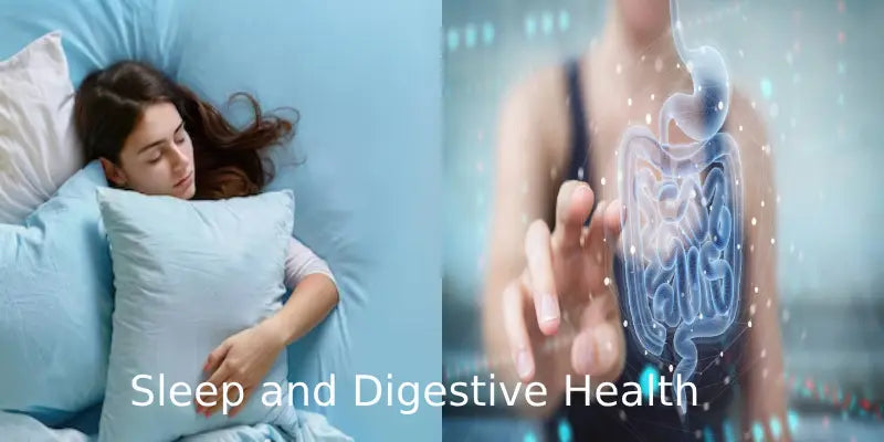  Sleep and Digestive Health
