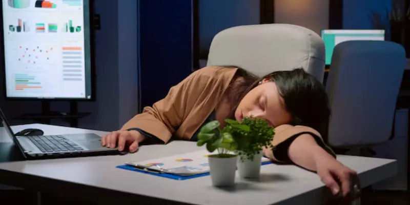 Sleep and Performance