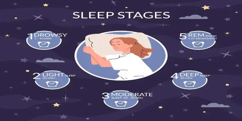 Which Sleep Stage is Most Important