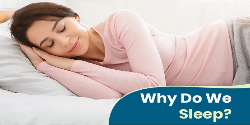 why do we sleep