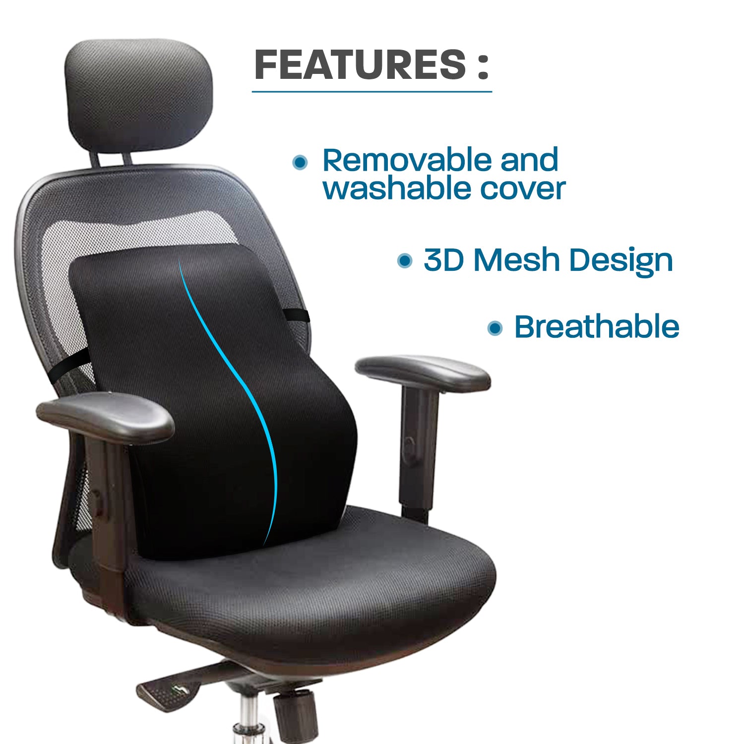 Lumbar Pillow, Chair Accessories