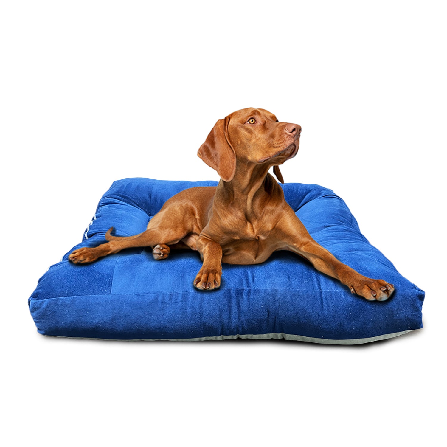 Sleepsia Dog Bed